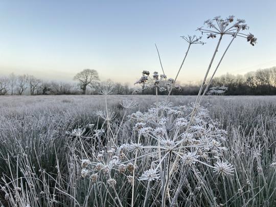 A frosty morning at Natures Rest